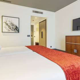 Camera doppia Hotel ILUNION Alcora Sevilla Siviglia