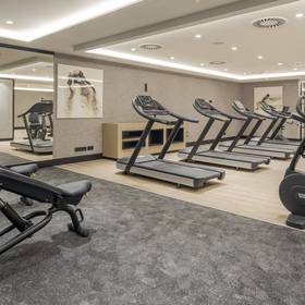 Palestra Hotel ILUNION Alcora Sevilla Siviglia Palestra Hotel ILUNION Alcora Sevilla Siviglia