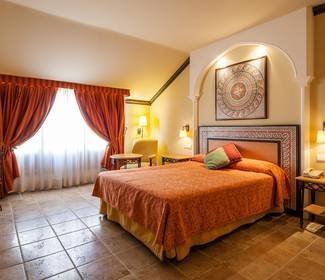 Camera accessibile Hotel ILUNION Mérida Palace Merida